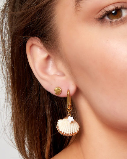 Ear studs schelp - Goud