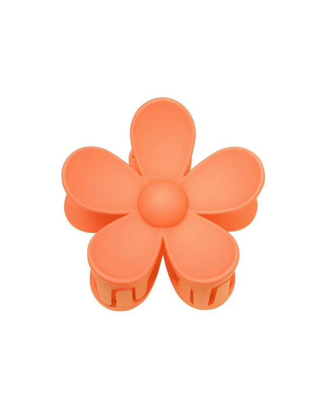 Haarklem bloem Oranje